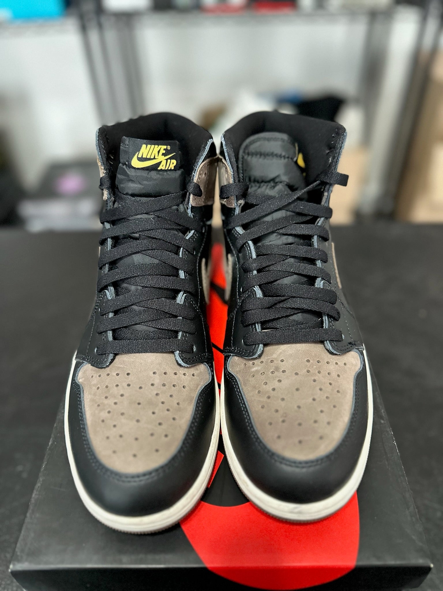 Size 11 - J1 Palomino