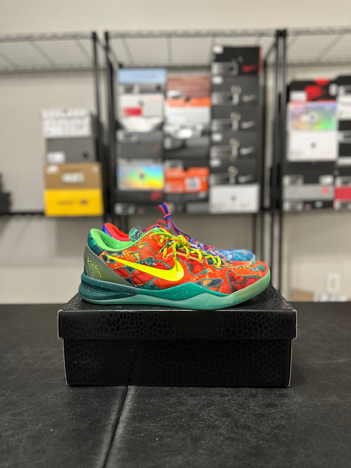 Size 13 - Kobe 8 Protro what the