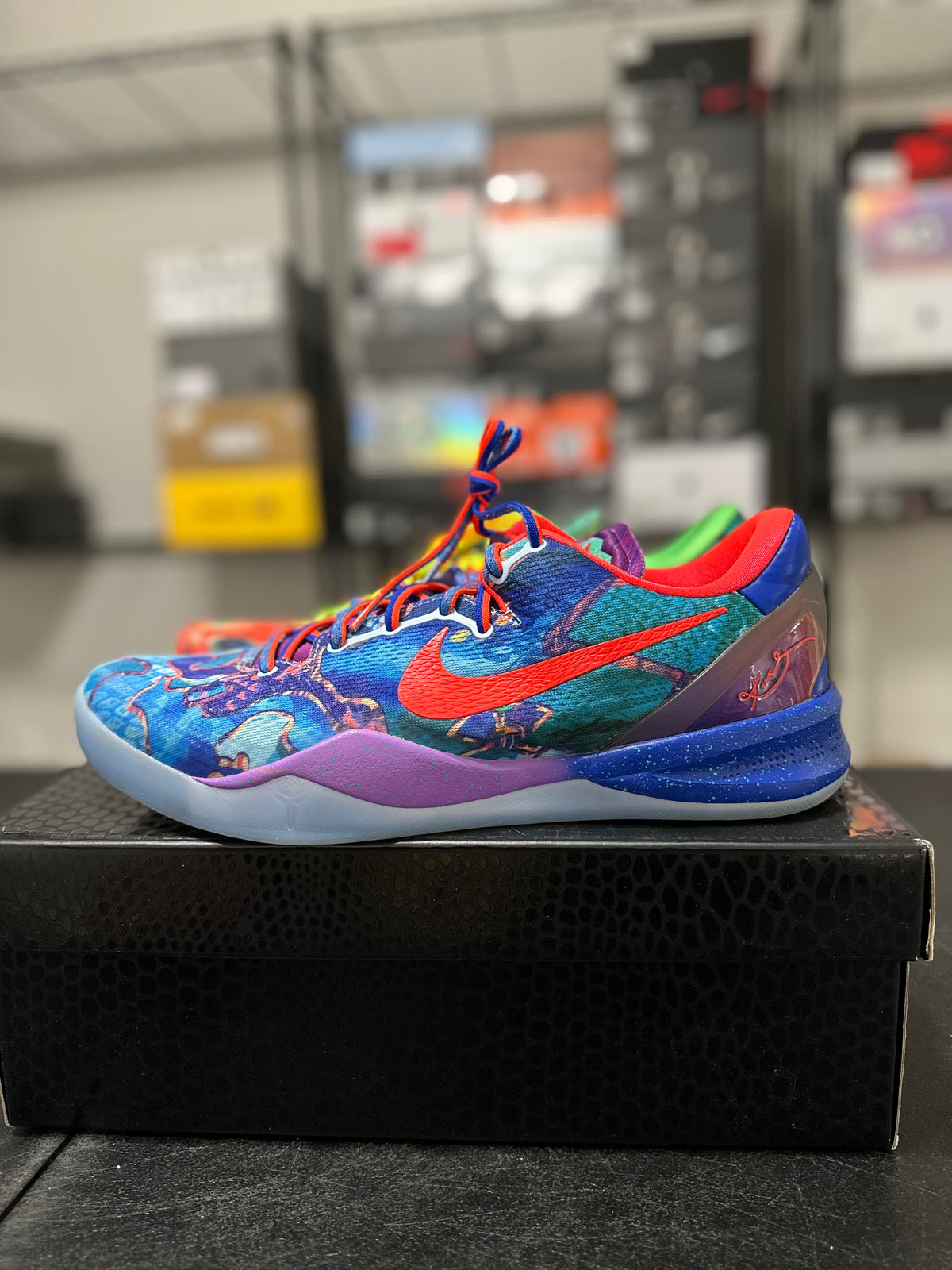 Size 13 - Kobe 8 Protro what the